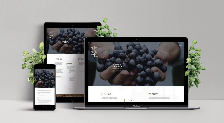 Image de Terra Vita Vinum : un site internet authentique et vivant